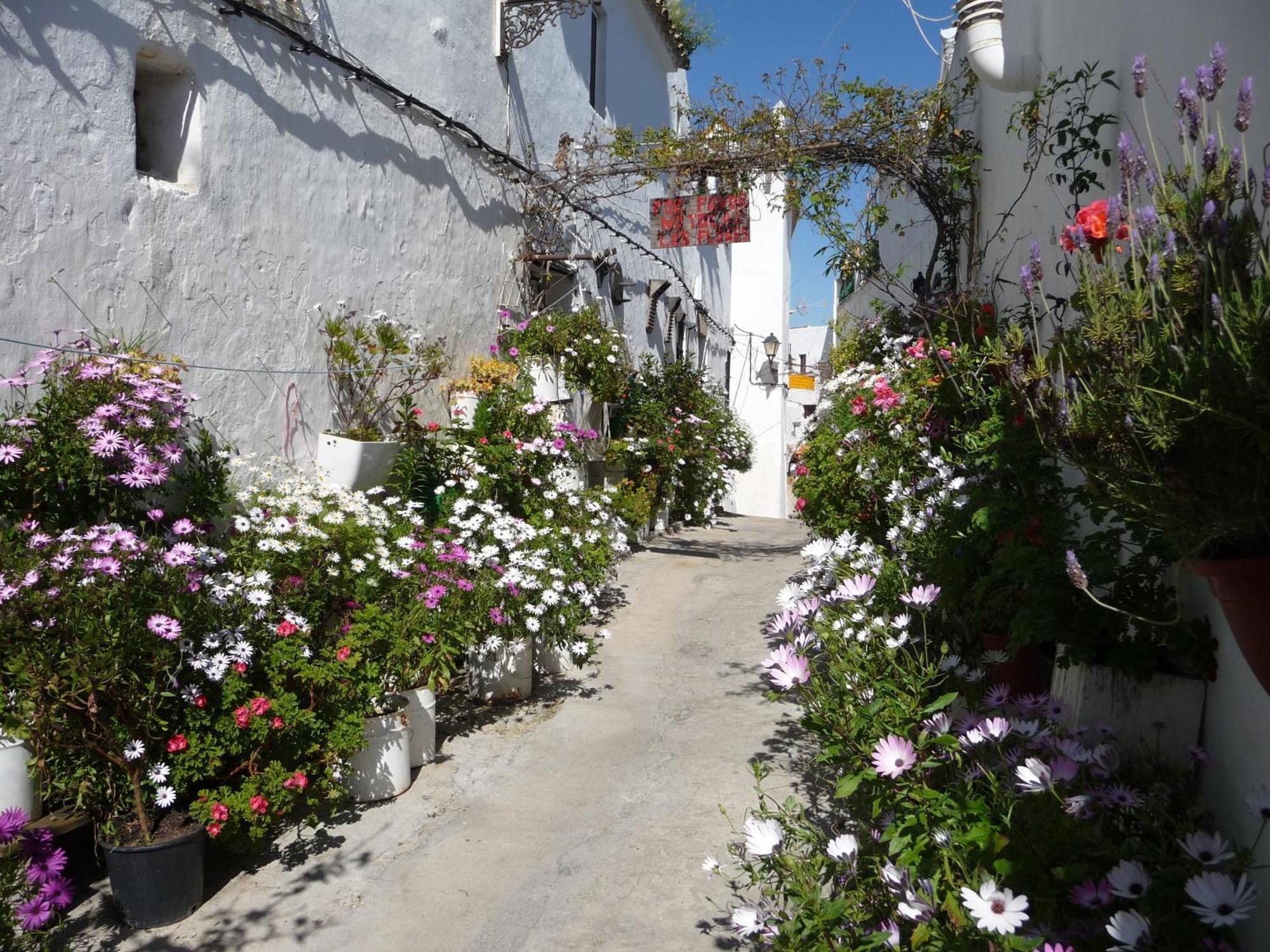 Vivienda Turistica De Alojamiento Rural Silla Vieja Vejer de la Frontera Luaran gambar