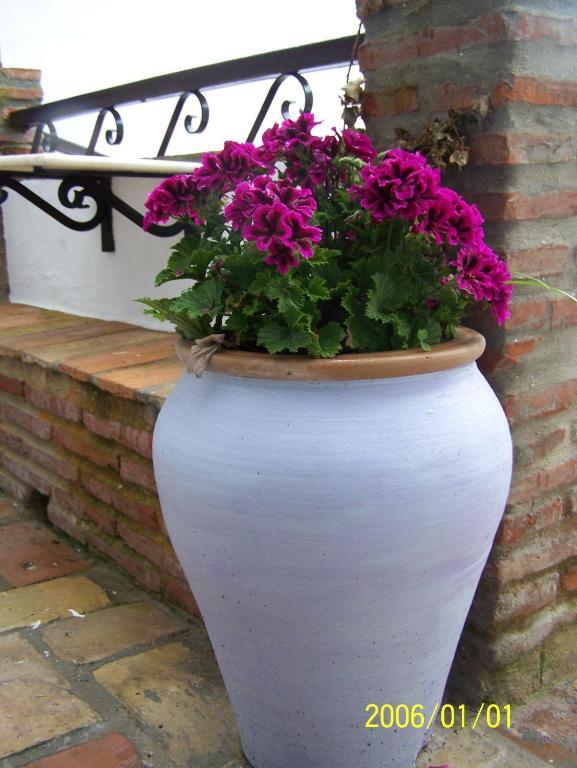 Vivienda Turistica De Alojamiento Rural Silla Vieja Vejer de la Frontera Luaran gambar